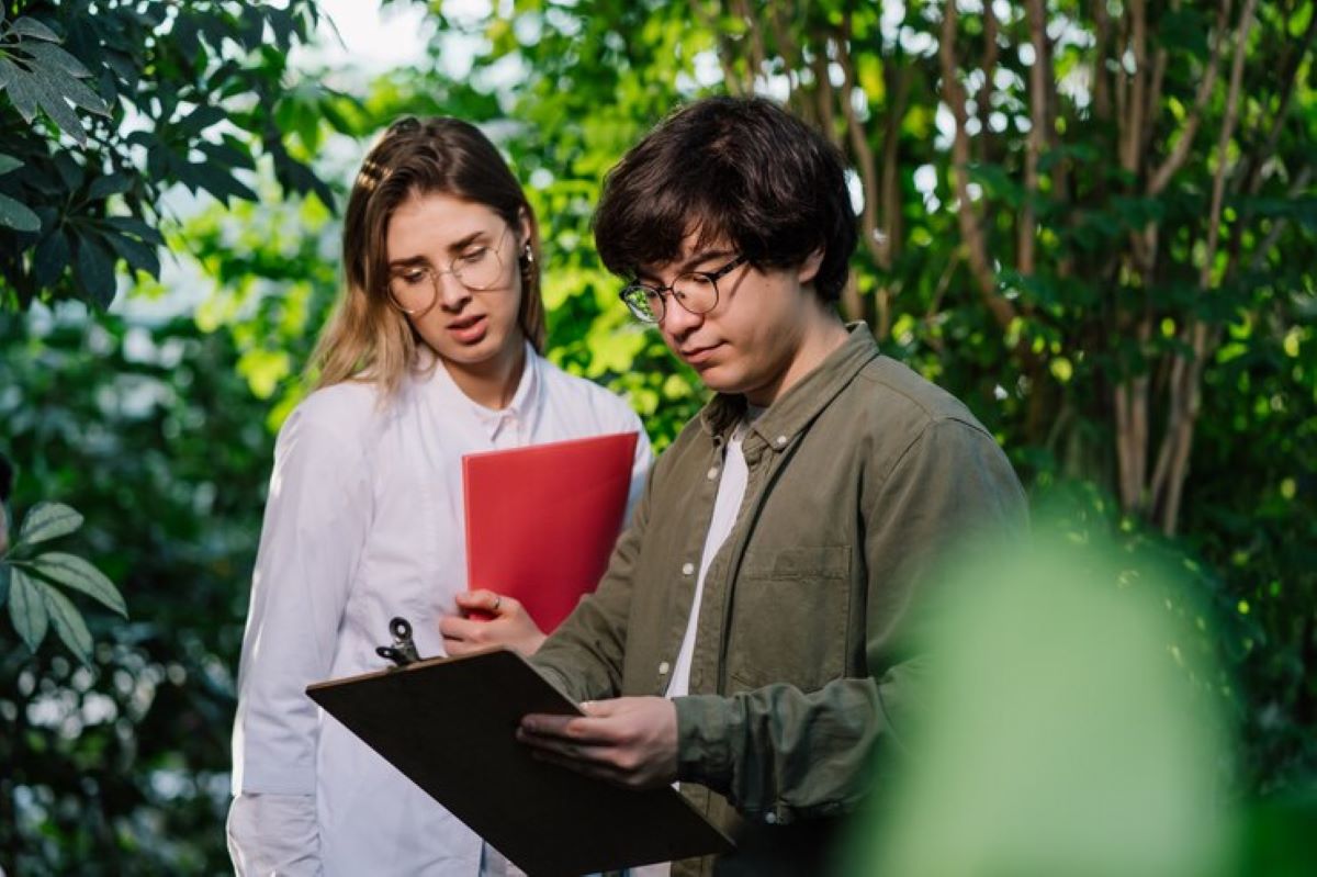 Understanding the Role of a Level 5 Arborist in Sydney’s Tree Care