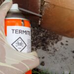 Termite Inspections in Sydney