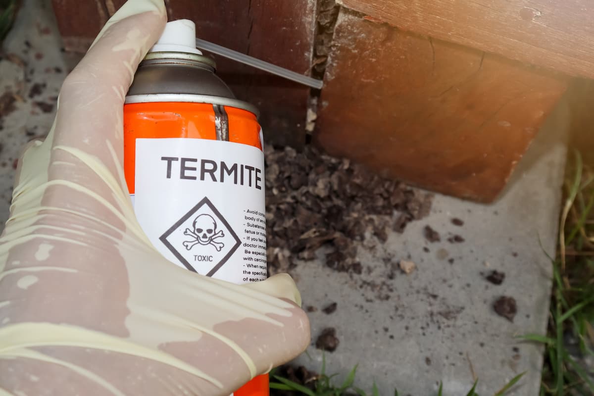 The Value of Annual Termite Inspections in Sydney