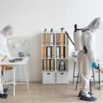 Pest Treatment Sydney