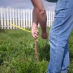boundary identification survey