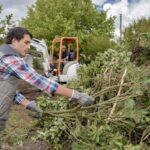 Tree Pruning Sydney
