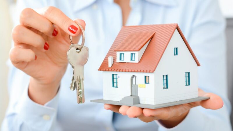 Property Advisor Vs Buyers Agent What Is The Difference In Australia